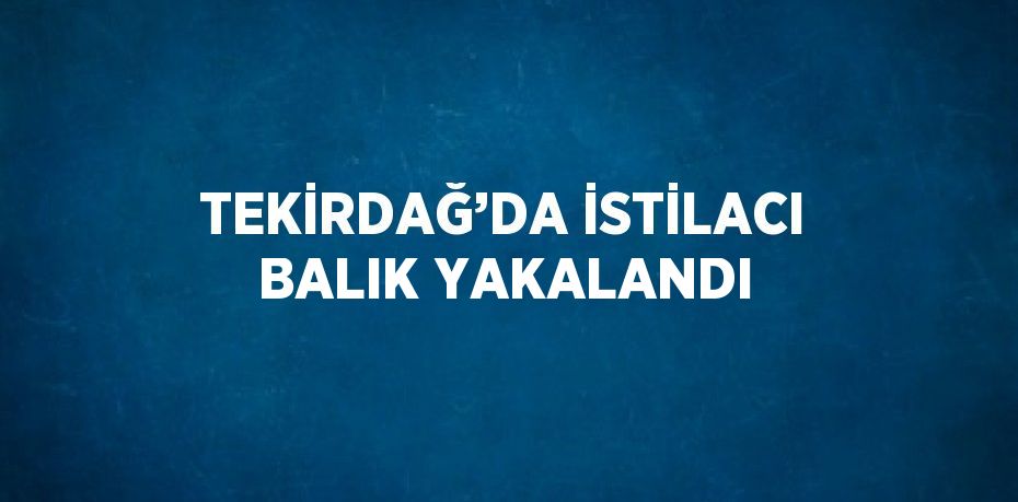 TEKİRDAĞ’DA İSTİLACI BALIK YAKALANDI