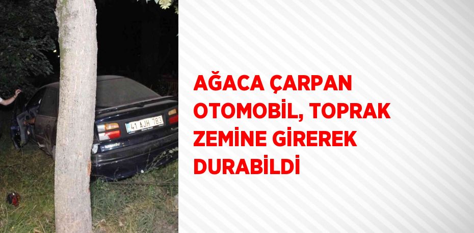 AĞACA ÇARPAN OTOMOBİL, TOPRAK ZEMİNE GİREREK DURABİLDİ