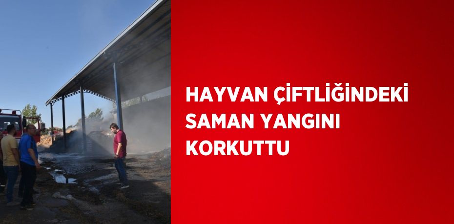 HAYVAN ÇİFTLİĞİNDEKİ SAMAN YANGINI KORKUTTU