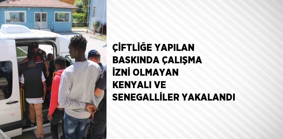 ÇİFTLİĞE YAPILAN BASKINDA ÇALIŞMA İZNİ OLMAYAN KENYALI VE SENEGALLİLER YAKALANDI