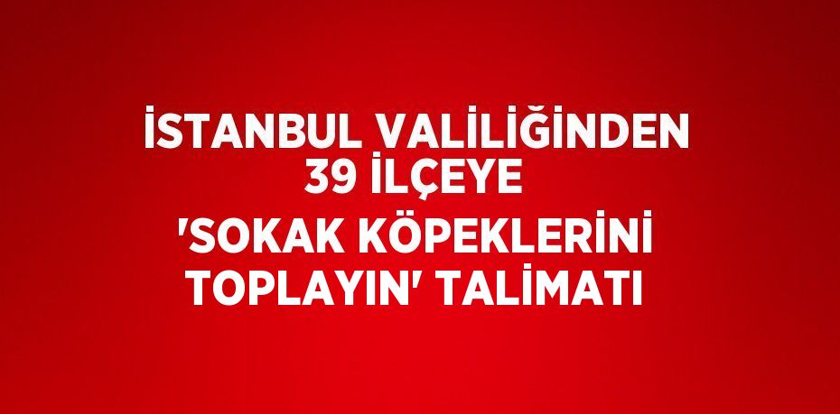 İSTANBUL VALİLİĞİNDEN 39 İLÇEYE 'SOKAK KÖPEKLERİNİ TOPLAYIN' TALİMATI