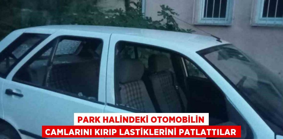 PARK HALİNDEKİ OTOMOBİLİN CAMLARINI KIRIP LASTİKLERİNİ PATLATTILAR