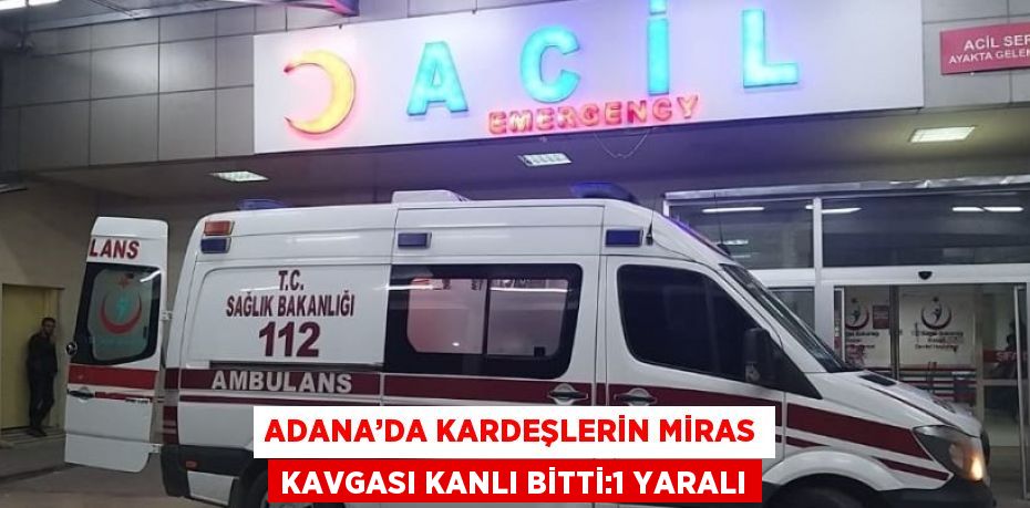 ADANA’DA KARDEŞLERİN MİRAS KAVGASI KANLI BİTTİ:1 YARALI