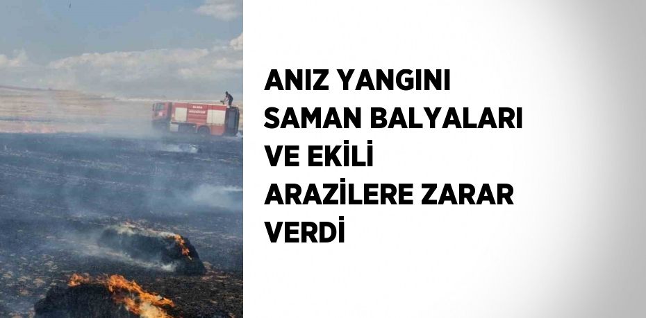 ANIZ YANGINI SAMAN BALYALARI VE EKİLİ ARAZİLERE ZARAR VERDİ