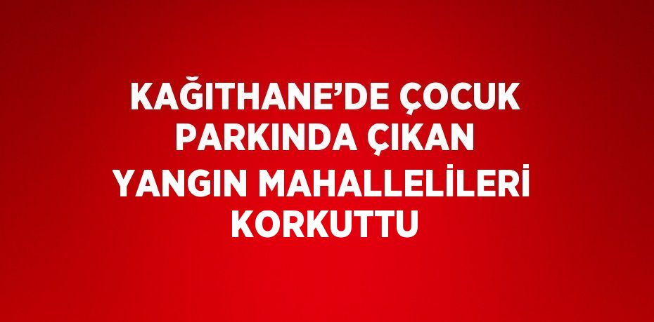 KAĞITHANE’DE ÇOCUK PARKINDA ÇIKAN YANGIN MAHALLELİLERİ KORKUTTU