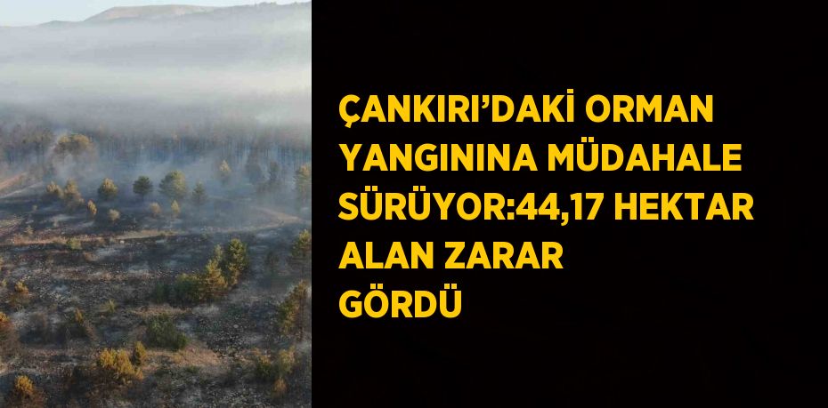 ÇANKIRI’DAKİ ORMAN YANGININA MÜDAHALE SÜRÜYOR:44,17 HEKTAR ALAN ZARAR GÖRDÜ