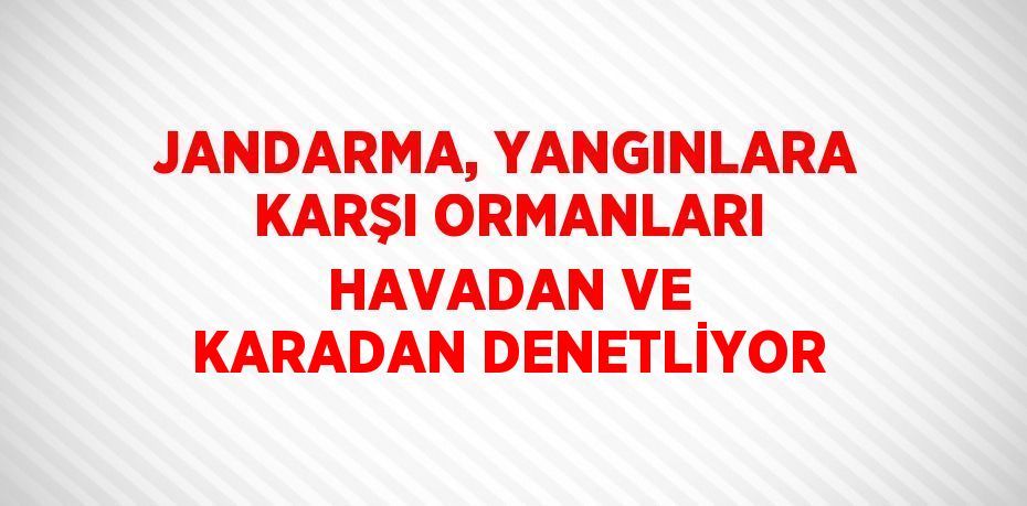 JANDARMA, YANGINLARA KARŞI ORMANLARI HAVADAN VE KARADAN DENETLİYOR