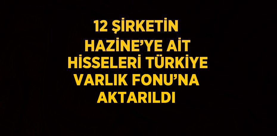 12 ŞİRKETİN HAZİNE’YE AİT HİSSELERİ TÜRKİYE VARLIK FONU’NA AKTARILDI