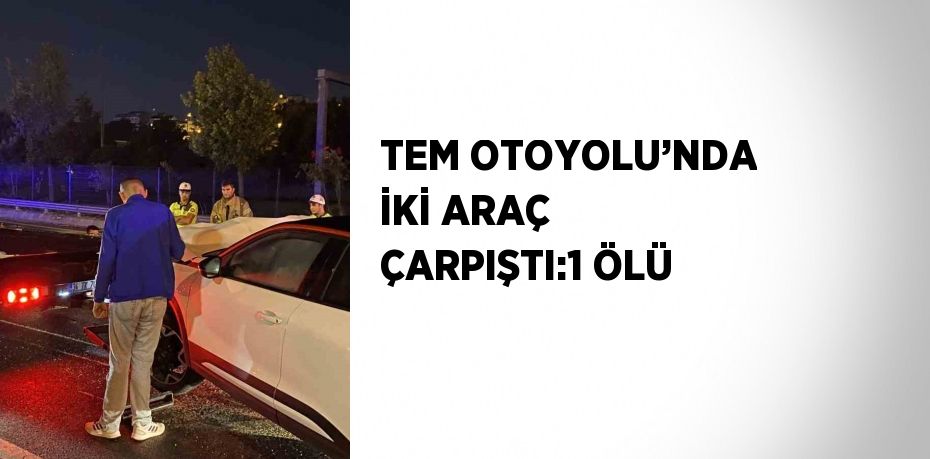 TEM OTOYOLU’NDA İKİ ARAÇ ÇARPIŞTI:1 ÖLÜ