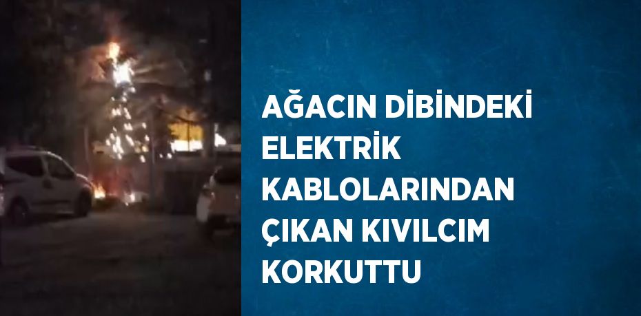 AĞACIN DİBİNDEKİ ELEKTRİK KABLOLARINDAN ÇIKAN KIVILCIM KORKUTTU