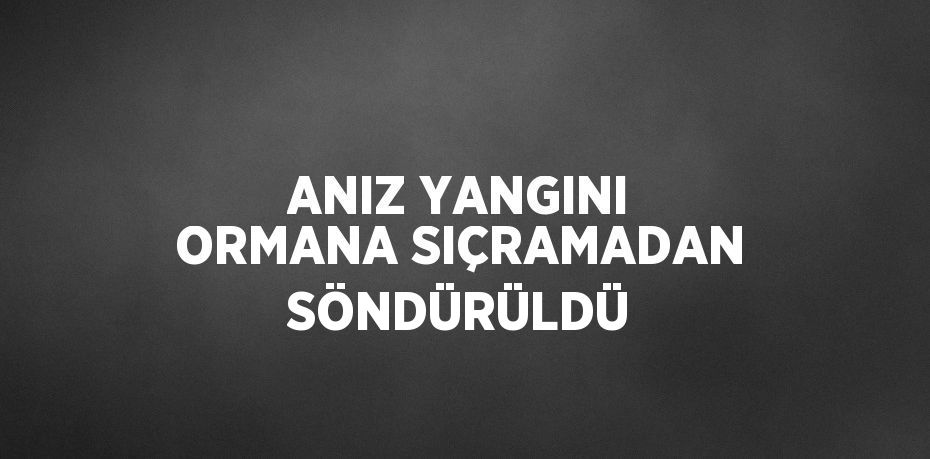 ANIZ YANGINI ORMANA SIÇRAMADAN SÖNDÜRÜLDÜ