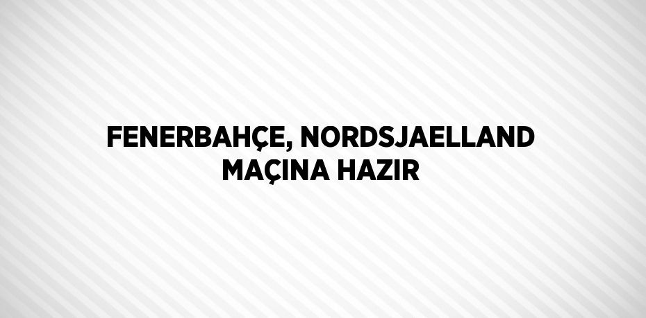 FENERBAHÇE, NORDSJAELLAND MAÇINA HAZIR