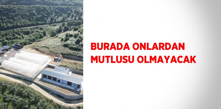 BURADA ONLARDAN MUTLUSU OLMAYACAK