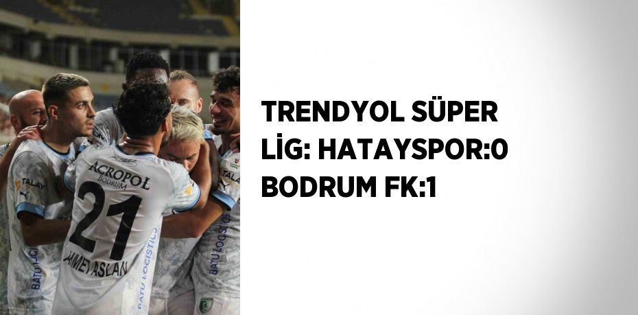 TRENDYOL SÜPER LİG: HATAYSPOR:0 BODRUM FK:1