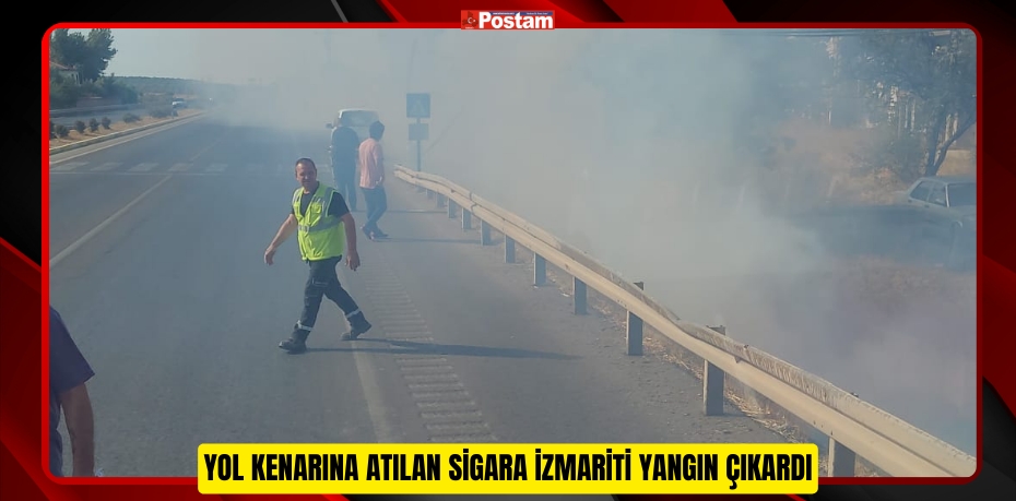 YOL KENARINA ATILAN SİGARA İZMARİTİ YANGIN ÇIKARDI