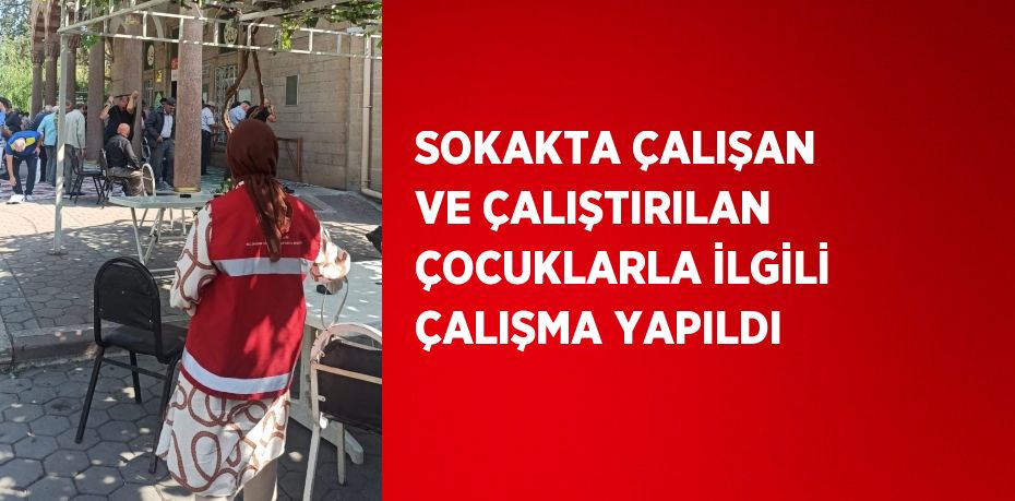 SOKAKTA ÇALIŞAN VE ÇALIŞTIRILAN ÇOCUKLARLA İLGİLİ ÇALIŞMA YAPILDI