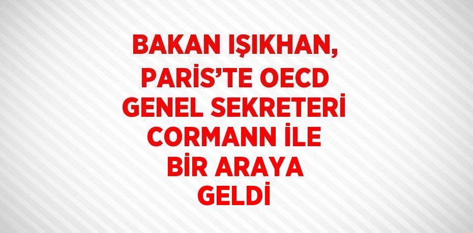 BAKAN IŞIKHAN, PARİS’TE OECD GENEL SEKRETERİ CORMANN İLE BİR ARAYA GELDİ