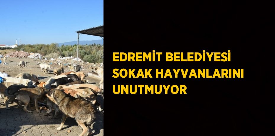 EDREMİT BELEDİYESİ SOKAK HAYVANLARINI UNUTMUYOR