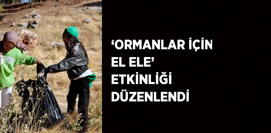 ‘ORMANLAR İÇİN EL ELE’ ETKİNLİĞİ DÜZENLENDİ