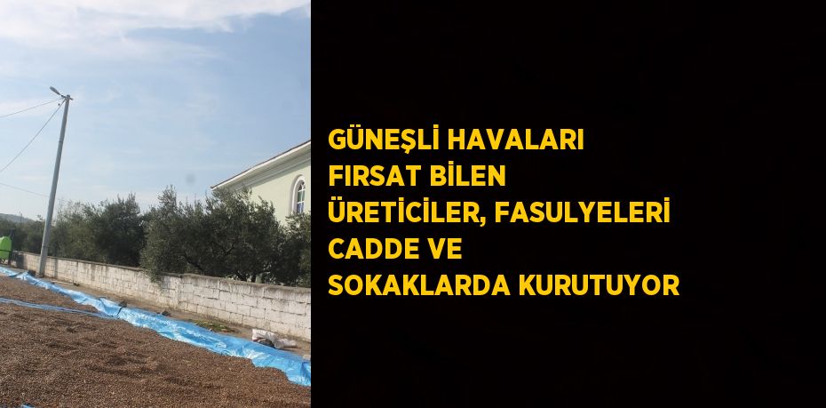 GÜNEŞLİ HAVALARI FIRSAT BİLEN ÜRETİCİLER, FASULYELERİ CADDE VE SOKAKLARDA KURUTUYOR