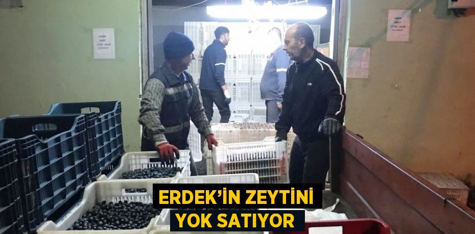 ERDEK’İN ZEYTİNİ YOK SATIYOR