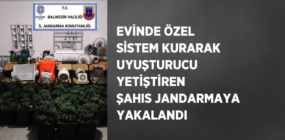 EVİNDE ÖZEL SİSTEM KURARAK UYUŞTURUCU YETİŞTİREN ŞAHIS JANDARMAYA YAKALANDI