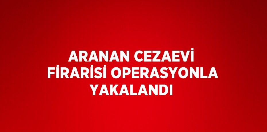 ARANAN CEZAEVİ FİRARİSİ OPERASYONLA YAKALANDI