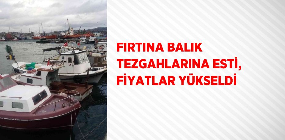 FIRTINA BALIK TEZGAHLARINA ESTİ, FİYATLAR YÜKSELDİ