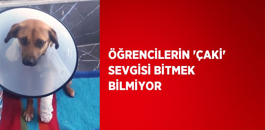 ÖĞRENCİLERİN 'ÇAKİ' SEVGİSİ BİTMEK BİLMİYOR