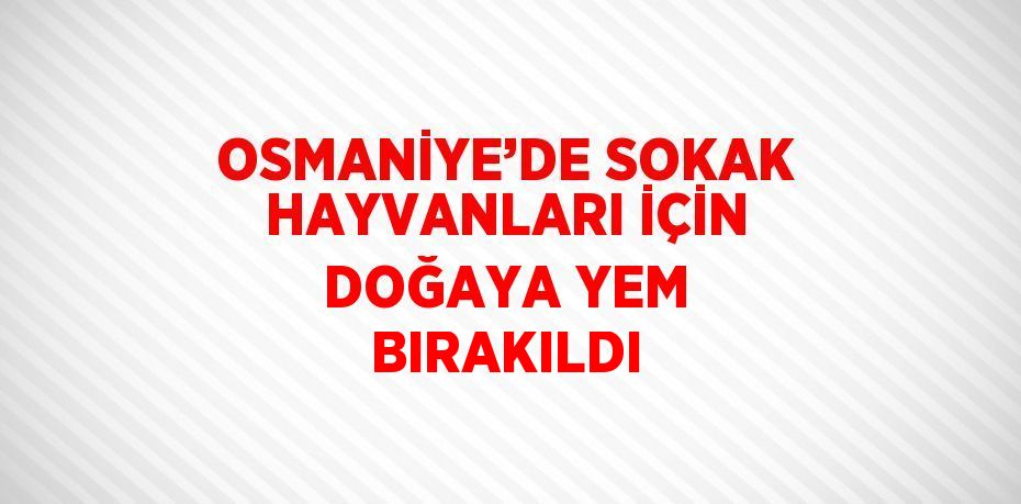 OSMANİYE’DE SOKAK HAYVANLARI İÇİN DOĞAYA YEM BIRAKILDI