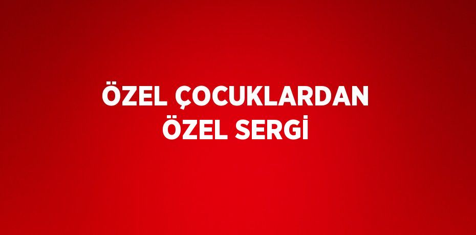 ÖZEL ÇOCUKLARDAN ÖZEL SERGİ