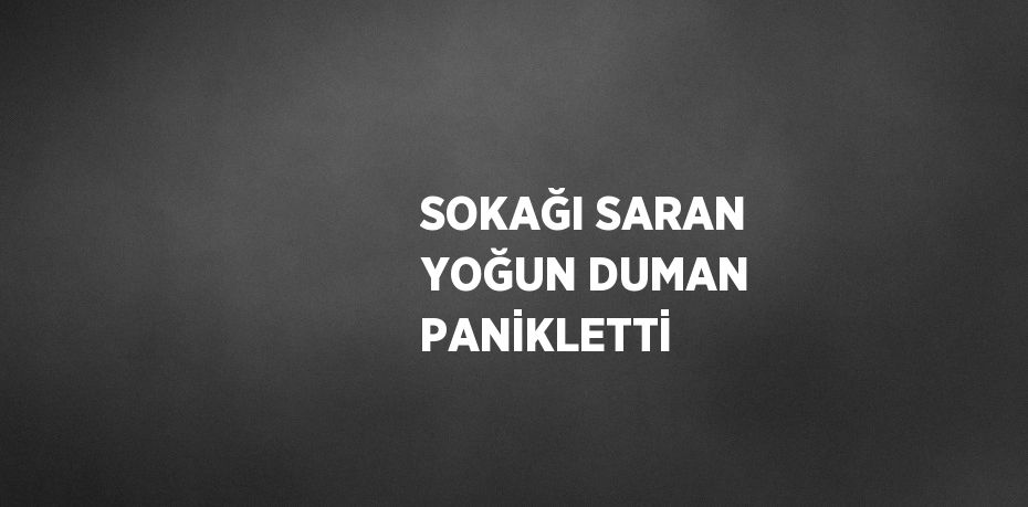 SOKAĞI SARAN YOĞUN DUMAN PANİKLETTİ