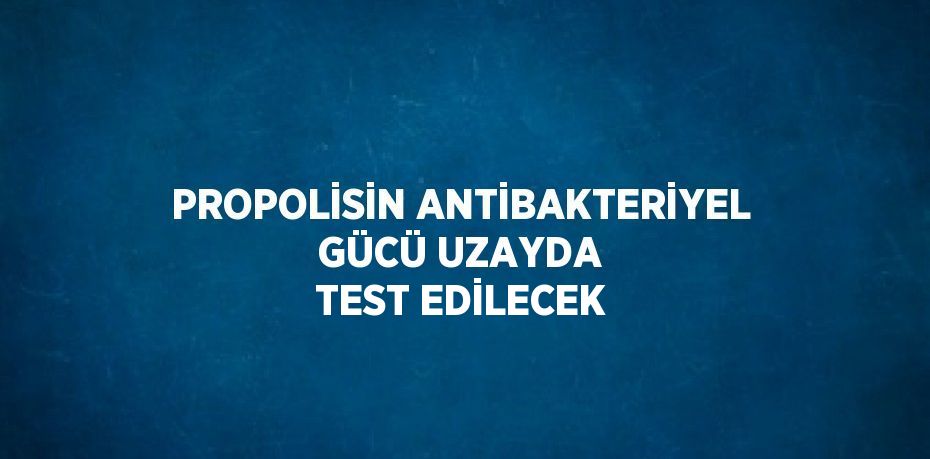 PROPOLİSİN ANTİBAKTERİYEL GÜCÜ UZAYDA TEST EDİLECEK