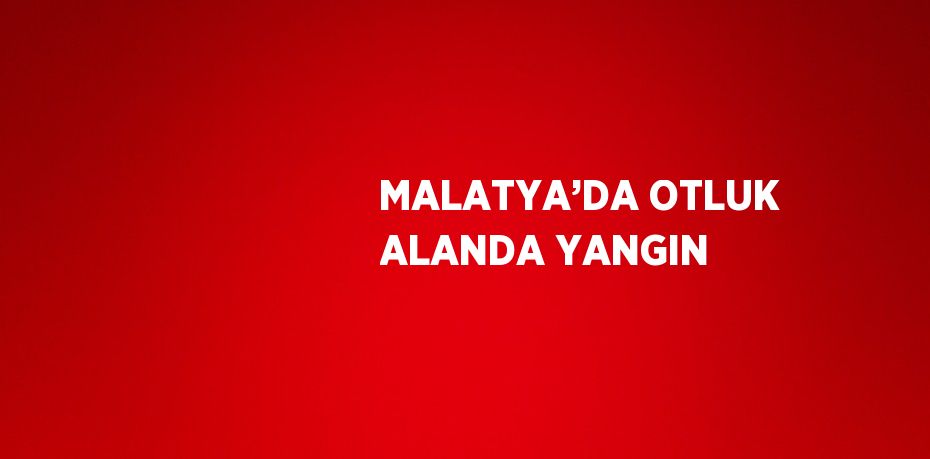 MALATYA’DA OTLUK ALANDA YANGIN