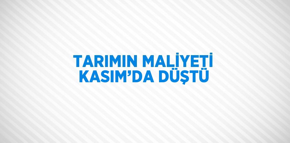 TARIMIN MALİYETİ KASIM’DA DÜŞTÜ