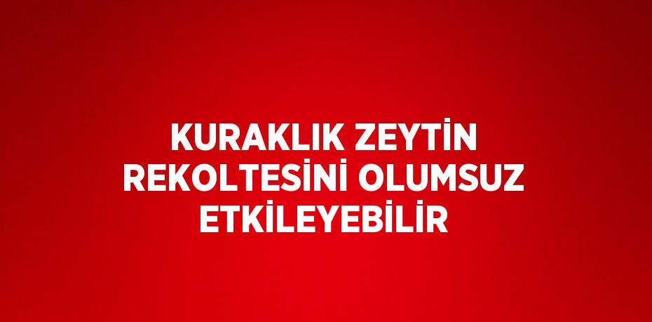 KURAKLIK ZEYTİN REKOLTESİNİ OLUMSUZ ETKİLEYEBİLİR