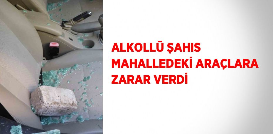 ALKOLLÜ ŞAHIS MAHALLEDEKİ ARAÇLARA ZARAR VERDİ