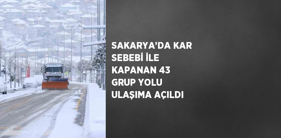 SAKARYA’DA KAR SEBEBİ İLE KAPANAN 43 GRUP YOLU ULAŞIMA AÇILDI