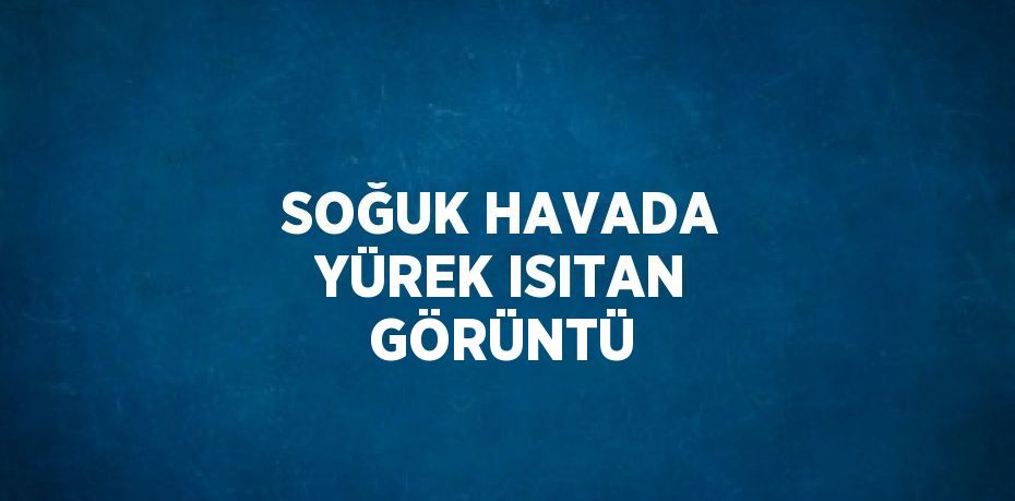 SOĞUK HAVADA YÜREK ISITAN GÖRÜNTÜ