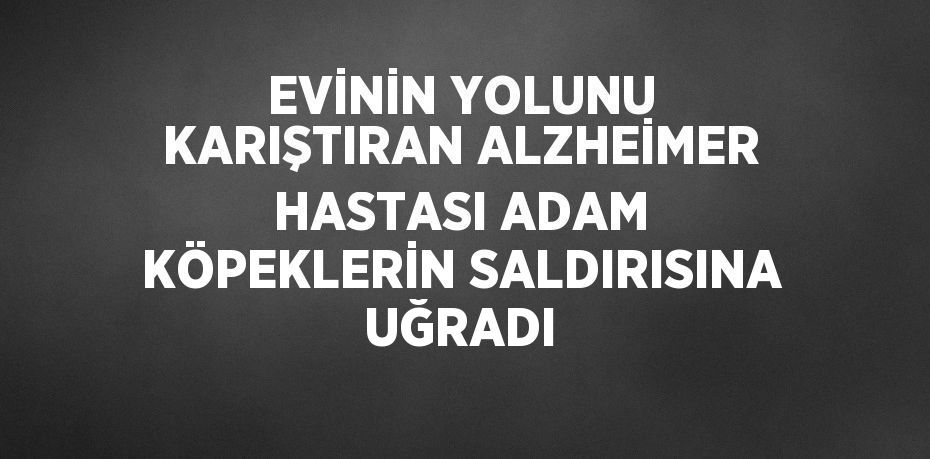 EVİNİN YOLUNU KARIŞTIRAN ALZHEİMER HASTASI ADAM KÖPEKLERİN SALDIRISINA UĞRADI