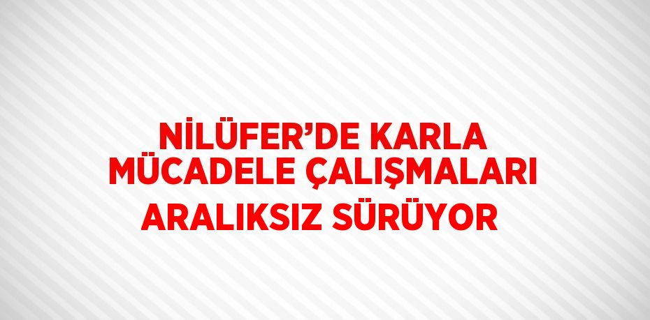 NİLÜFER’DE KARLA MÜCADELE ÇALIŞMALARI ARALIKSIZ SÜRÜYOR