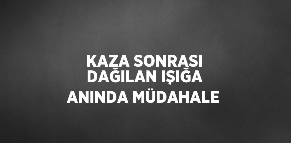 KAZA SONRASI DAĞILAN IŞIĞA ANINDA MÜDAHALE