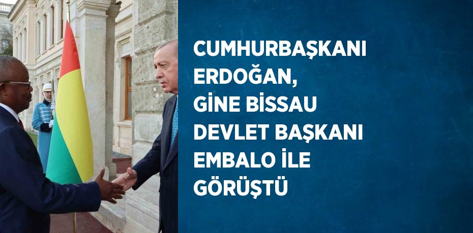 CUMHURBAŞKANI ERDOĞAN, GİNE BİSSAU DEVLET BAŞKANI EMBALO İLE GÖRÜŞTÜ