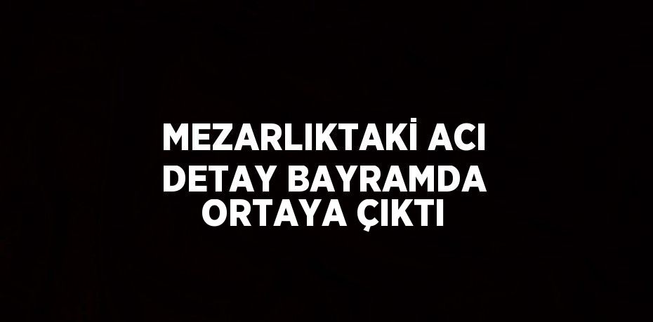 MEZARLIKTAKİ ACI DETAY BAYRAMDA ORTAYA ÇIKTI