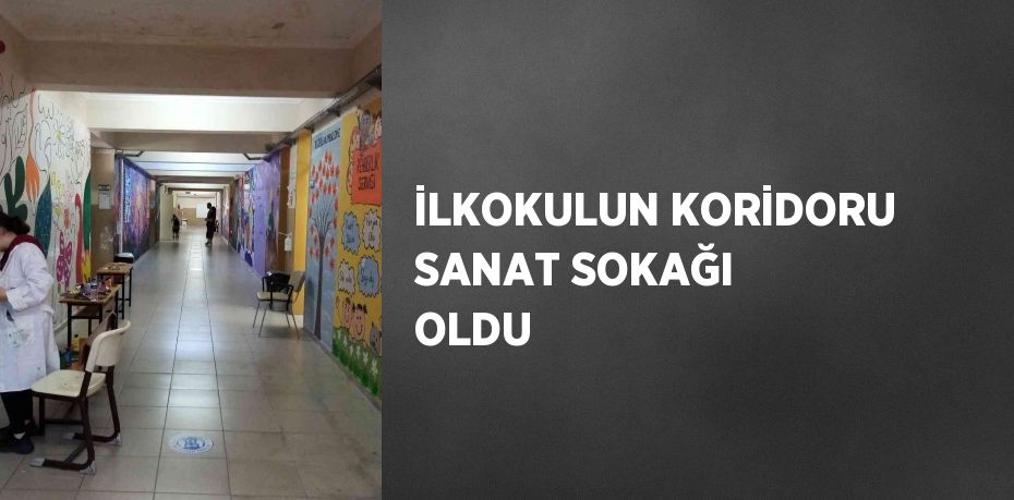 İLKOKULUN KORİDORU SANAT SOKAĞI OLDU