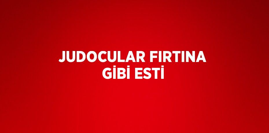 JUDOCULAR FIRTINA GİBİ ESTİ