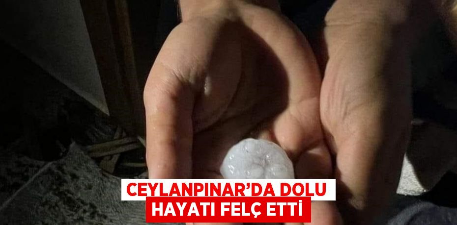 CEYLANPINAR’DA DOLU HAYATI FELÇ ETTİ