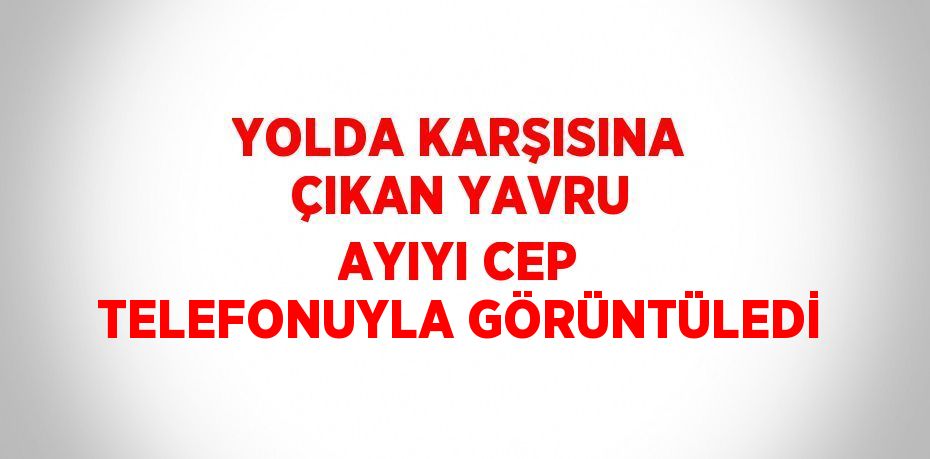 YOLDA KARŞISINA ÇIKAN YAVRU AYIYI CEP TELEFONUYLA GÖRÜNTÜLEDİ