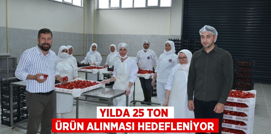 Yılda 25 ton ürün alınması hedefleniyor