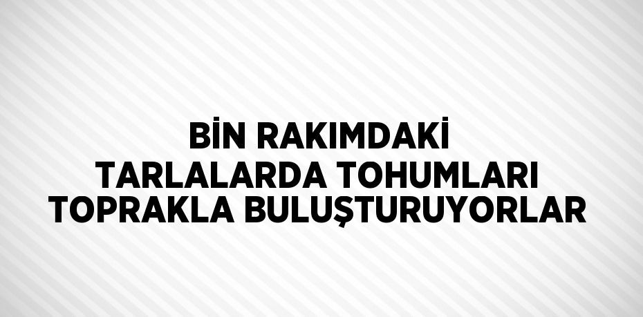 BİN RAKIMDAKİ TARLALARDA TOHUMLARI TOPRAKLA BULUŞTURUYORLAR